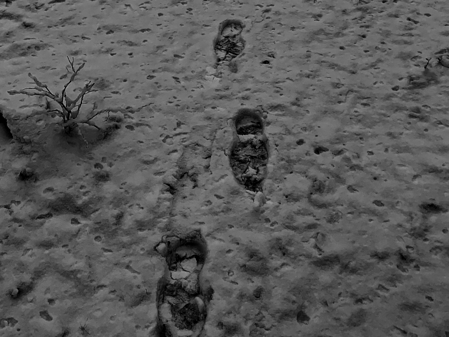 Spoken Word – Oh dear&nbsp;Anxiety