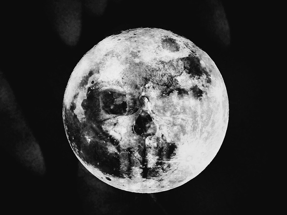 This Animal is&nbsp;Back