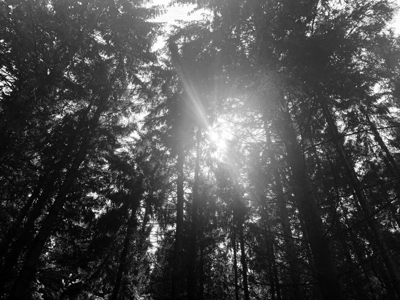 Spoken Word –&nbsp;Transparent