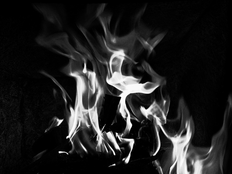 Spoken Word – The Free&nbsp;Flow