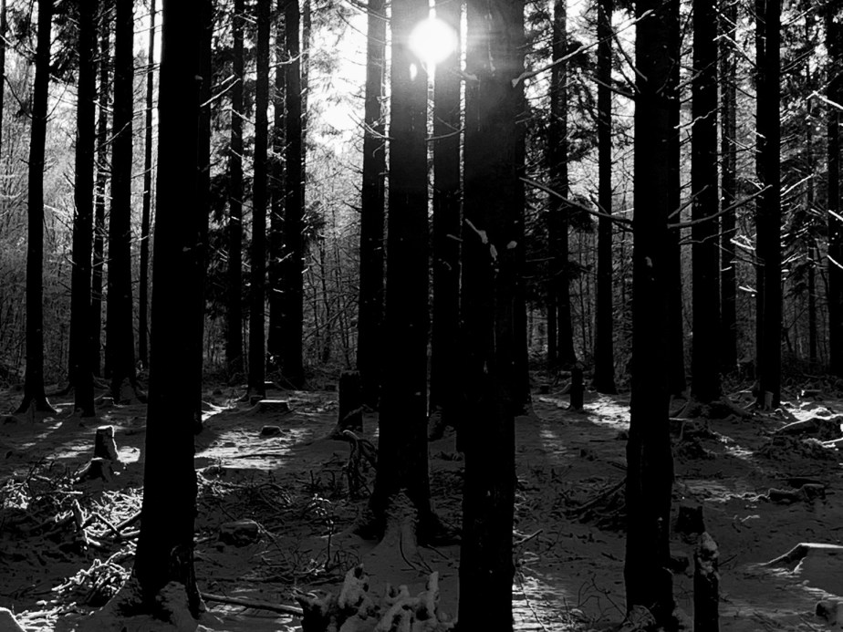 Projected Reflection