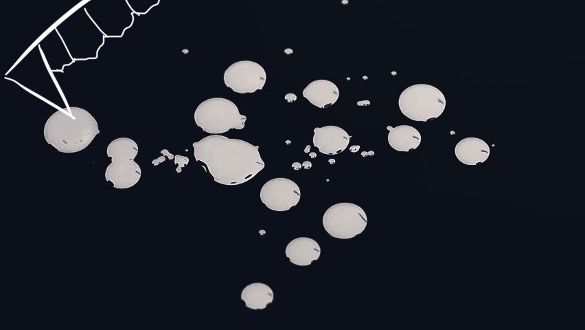 A Kiss from The&nbsp;Devil