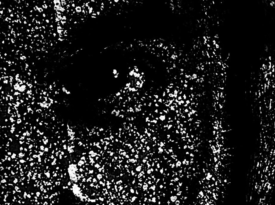 A poem –&nbsp;Shattered