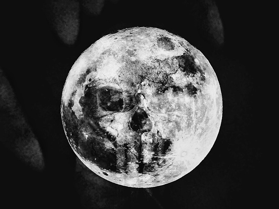 Reblogging – This Animal is&nbsp;Back